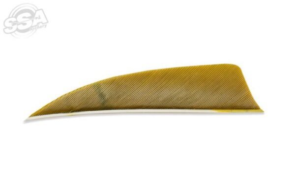 Trueflight Feathers Shield 3" Rw Leaf Green 100/Pk