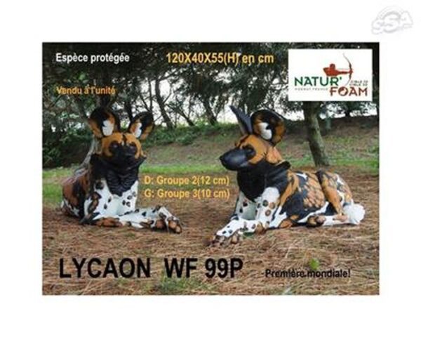 Natur Foam 3D Target Lycaon