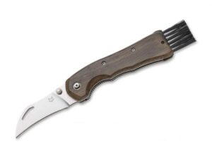 Fox Knives Spora Eucaliptus preklopni nož za gljive