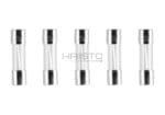 Nimrod Glass Type Fuse 5x20mm 15A 5pcs